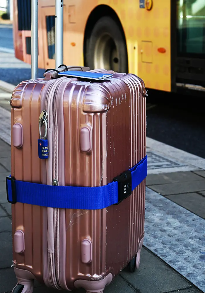 अनुकूलन योग्य और मुफ़्त संयोजन 4 पैक यात्रा सेट पासपोर्ट टीएसए लॉक सामान पट्टियाँ सामान टैग यात्रा सहायक उपकरण सेट
