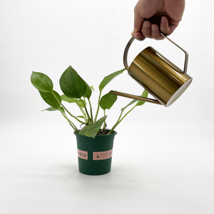 Arroseur de jardin moderne en acier inoxydable pour bain de nénuphar Pot de plantes noir à arrosage automatique pour plante de jardin d'école intérieure - Product Image 2