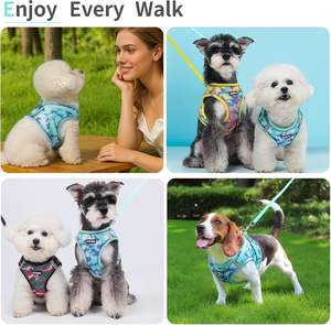 Harnais pour chien Step In avec ensemble de laisse, maille rembourrée et respirante réglable pour chien de petite taille, réfléchissant sans traction - Product Image 6