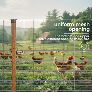 High Quality Hot Dipped Galvanized Welded Wire <b>Mesh</b> with Different Opening Sizes for Farm Fence - Product Image 1