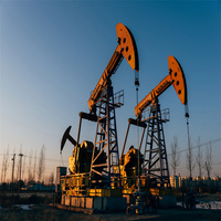Polymère chimique KPAM de Polyacrylate de potassium d'additif de fluide de forage de pétrole pour la représentation améliorée de boue de forage