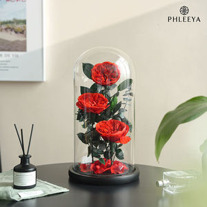 Cúpula <span class=keywords><strong>de</strong></span> Cristal Big Prince, Regalo Creativo para el Día <span class=keywords><strong>de</strong></span> la Madre y San Valentín, Decoración para el Hogar, Rosa Preservada al por Mayor - Product Image 5