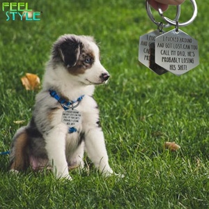 Collier pour animaux de compagnie gravé au laser, étanche, avec accessoire chaîne, étiquette anti-perte personnalisée avec nom, ID, code QR, plaque hexagonale pour chiens et chats - Product Image 4