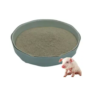 Lợn ăn premix đa Enzyme