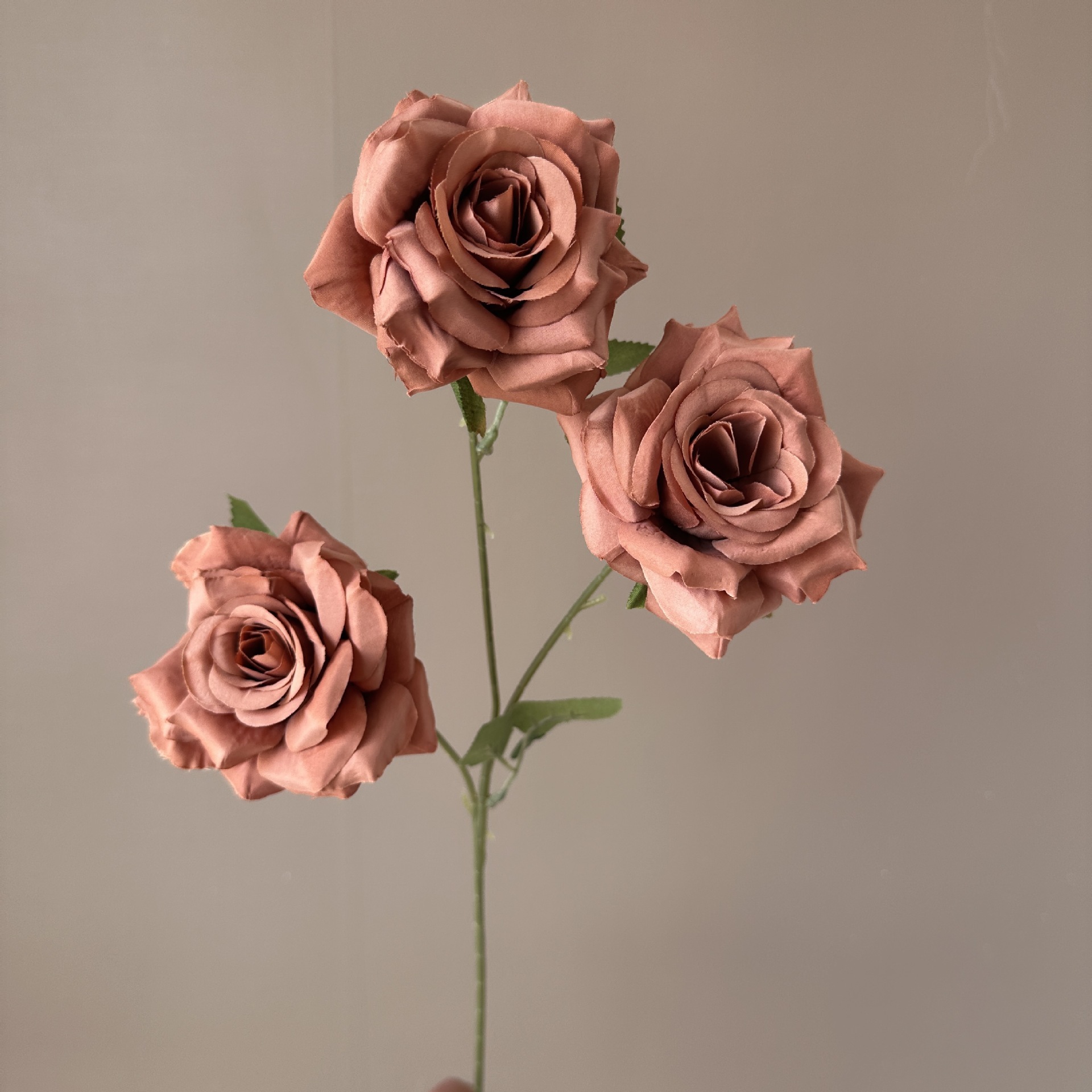 3 diamants [avec feuilles] couleur café rose