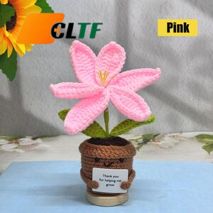 Adorable Planta de Lirio Tejida a Crochet, Flores de Crochet, Regalo de Agradecimiento, Regalo para el Día de la Madre, Regalo para Apreciar a la Maestra, Flor de Crochet - Product Image 4