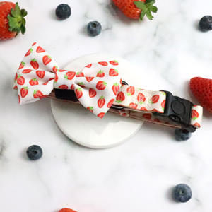 Harnais Confortable et Élégant en Maille Fraise pour Chien, Ensemble Laisse Courte, Gilet Rembourré Anti-Traction, Laisse à Libération Rapide pour Chats et Chiens - Product Image 4