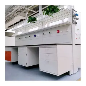 批发定制尺寸研究学校实验室家具现代带试剂架和水槽
