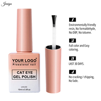 Kit de vernis gel UV portable œil de chat 2 bouteilles couleur personnalisée le plus vendu pour manucure en salon et à domicile