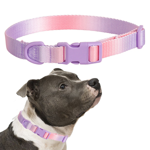 Correa para Perros Pequeños con Hebilla de Seguridad de Liberación Rápida, Impermeable, de Nailon Ajustable con Patrón de Letras y Decoración de Bufanda - Product Image 1