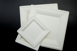 Phân Hủy Sinh Học 6 "8" 10 "Dùng Một Lần Compostable Đường Mía Vuông Tấm Bagasse Bột Giấy Tấm Khay - Product Image 6