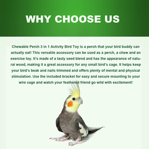 Lồng chim cỡ tùy chỉnh nhà máy sản xuất, kèm cọc đứng, cành ăn được, đồ chơi 3 trong 1 cho chim nhỏ - Product Image 4