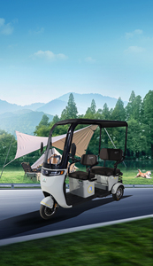 Voiture électrique bon marché d'usine, moto à trois roues, scooter de mobilité électrique, voiture tricycle électrique, scooter de mobilité fermé - Product Image 6