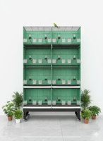 Volière modulaire empilable en fil métallique pour l'élevage d'oiseaux, avec plateau extractible, facile à assembler, pour pigeons, canaris, parakeets - Vente en gros