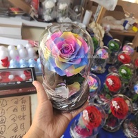 Bestseller - Roses éternelles - Fleurs pour la Saint-Valentin et la fête des mères - Fleurs préservées éternelles - Roses éternelles dans un dôme en verre avec LED
