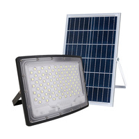Nouveau style projecteur LED solaire incurvé ultra grand angle à contrôle de lumière, haute luminosité, étanche IP67 pour extérieur et cour, idéal pour usine