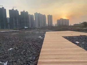 Plancher en bois extérieur naturel du Brésil en bois dur