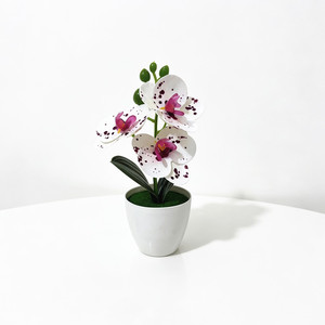Orchidée Phalaenopsis Artificielle Paulon, 20 cm de Haut, Plante en Pot en Plastique Souple, Décoration d'Intérieur, Accessoires de Photographie - Product Image 5