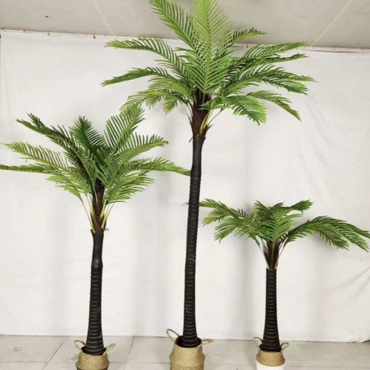 F1 1.5m palme da cocco verdi