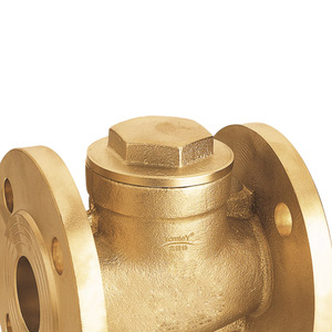 Guangdong Magnesium Special Brass Flange Check Valve 409 Lift Type For Water Flow Control Straight Through Design - Product Image 3