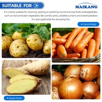 Macchina Multifunzionale in Acciaio Inox 304 per Pelatura e Lavaggio di Patate Dolci, Igname, Radice di Taro e Verdure, Altamente Personalizzabile