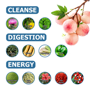 Peach Detox Tea Bags with Dandelion Leaf Boosts Energy Digestion Natural Cleanse Supports Weight Goals Peach Detox Tea - Product Image 3