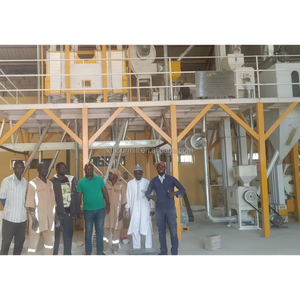 Impianto Completo di Macinazione del Mais 20-50TPD, Linea di Produzione Automatica di Farina, Macchina per Farina a Rulli per Zimbabwe, Zambia, Africa - Product Image 2