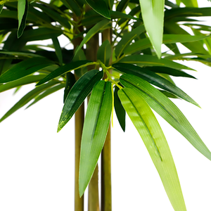 150 <b>Artificial</b> Silk Cloth Leaves Simulated Plant Furniture Garden Decorations With Real Poles for Sale - Product Image 5