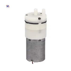 Brand Manufacturers Customize 3.7V Micro Vacuum Pump Electric For Medical/beauty Instrument