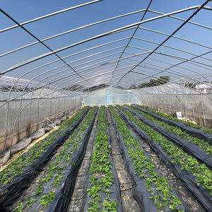 Ape da giardino 3 anni senza inquinamento ad alto rendimento Film per serra pellicola di conversione della luce agricola in plastica, pellicola per serra - Product Image 6