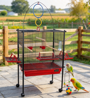 Cage à perroquets robuste sur roulettes, avec supports latéraux extensibles, jouet interactif suspendu, perchoirs en bois, coupelles à nourriture et bouteille d'eau