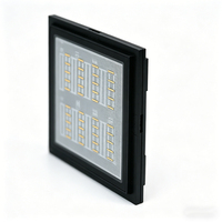 Diodo Láser de Emisión Lateral de Alta Potencia J Light 830nm 1W, Chip de Diodo Láser de Emisor Único, Venta al por Mayor