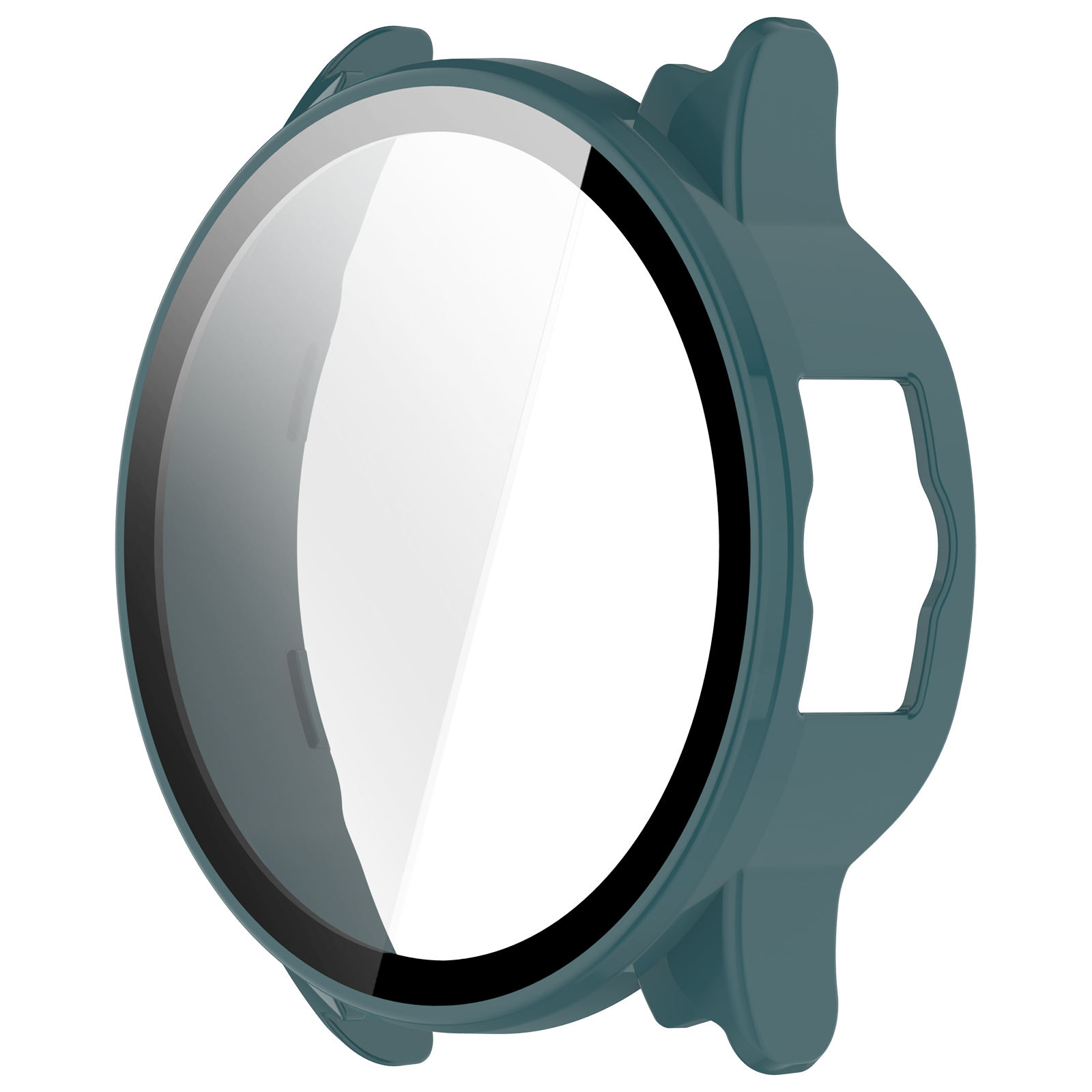 Aiguille de pin vert