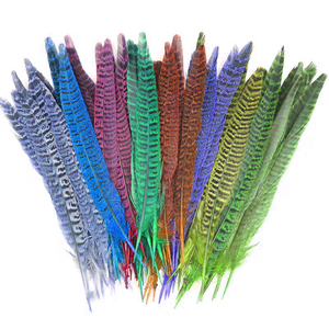 Plumes violettes à longue queue, plumes artificielles de faisan à col annulaire pour fête, carnaval, vase de maison, décoration de vacances, bricolage, costume - Product Image 1