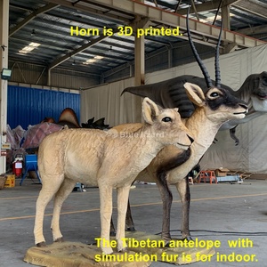 Sculpture d'antilope tibétaine animatronique réaliste pour intérieur - Modè<span class=keywords><strong>le</strong></span> animal personnalisé <span class=keywords><strong>de</strong></span> qualité muséale pour zoo et parc - Product Image 2