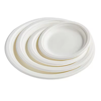 Assiette en papier jetable 5/7/9/10 pouces Assiette à gâteau épaisse Pulpe de canne à sucre Biodégradable Pique-nique Barbecue Assiette en pulpe blanche Bagasse
