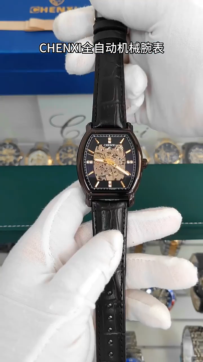 CHENXI 8815 Men's Wristwatches - Luxury Automatic Watches