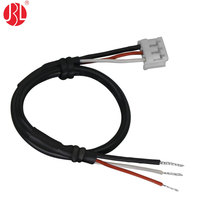 EHR-2 EHR-3 EHR-4, EHR-6 2-Pin 4-Pin JST EH 2.5mm rakitan kabel kawat untuk peralatan rumah pabrik rangkaian kabel langsung
