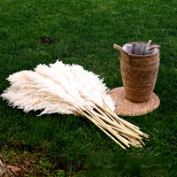 Plumes de roseaux de pampa naturelles séchées, grandes et moelleuses, pour mariage bohème, décoration de maison, vase au sol, décoration de ferme, vente en gros