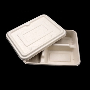 9"*7" Lunch Tray Sugar Cane Fiber Bagasse Bamboo Pulp Biodegradable Food Plates Go-Green With Lids 4 Compartments Disposable