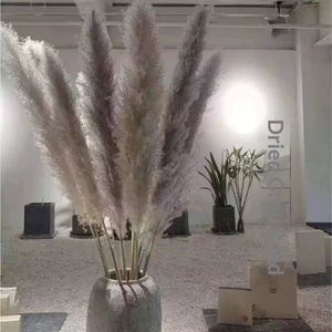 Bouquet de fleurs séchées nordiques, fleurs naturelles tendance pour la décoration intérieure, herbe de la pampa à grandes plumes, naturelle - Product Image 1