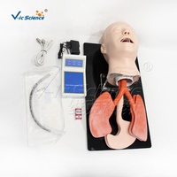Maniquí de Ciencias Médicas Vic Science, Modelo Avanzado de Intubación de Tráquea Humana, Modelo Educativo VIC-407A Ecológico