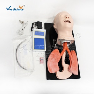 Modèle d'intubation de la trachée humaine avancé Vic Science Medical Science Nursing Manikin, modèle d'éducation VIC-407A, écologique - Product Image 3