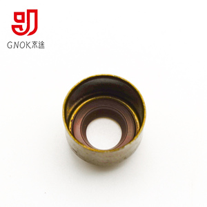 Nhà Máy Gnok Tùy Chỉnh Cho Van Gốc Con Dấu Dầu Chất Lượng Cao Mô Hình Me074566 Xe Động Cơ Komatsu 6d40 Lượng 150414511 - Product Image 5