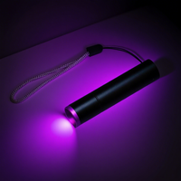 Senter UV Mini 395nm, Dapat Diisi Ulang via USB, Lampu UV untuk Mendeteksi Urine Hewan Peliharaan dan Sidik Jari Uang Kertas