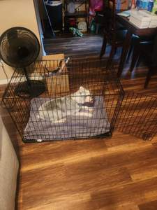 บ้านสุนัขราคาถูก ขายส่งจากโรงงาน ลวดเหล็ก บ้านสัตว์เลี้ยงขนาดใหญ่ คอกสุนัข บ้านสุนัขแบบกรง - Product Image 3