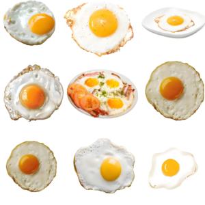 Cuisinière à œufs de caille à faible bruit, <span class=keywords><strong>mini</strong></span>-cuisinière à œufs, cuisinière à œufs 110v - Product Image 5