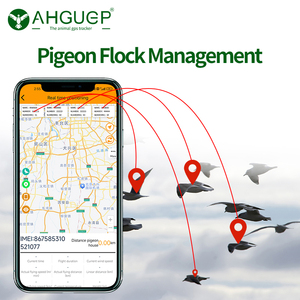AHGUEP全球定位系统宠物跟踪器4g网络LBS无线兼容iOS安卓应用鸽子鸟类跟踪磁性功能IP67 Glonass - Product Image 6