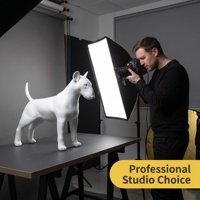 Mannequin de chien Bull Terrier pour présentation de vêtements pour animaux, avec pattes et queue détachables, accessoire de photographie réaliste, statue de vitrine