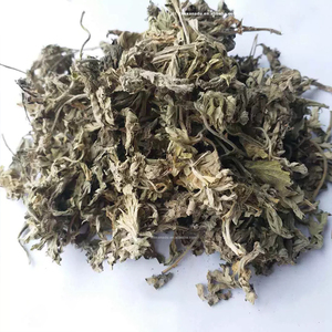 Wild Mugwort secchi sbavature foglie sfuse Custom Artemisia OEM Pack/bustine di tè per la purificazione bagno massaggio estratto di infusione di erbe - Product Image 6